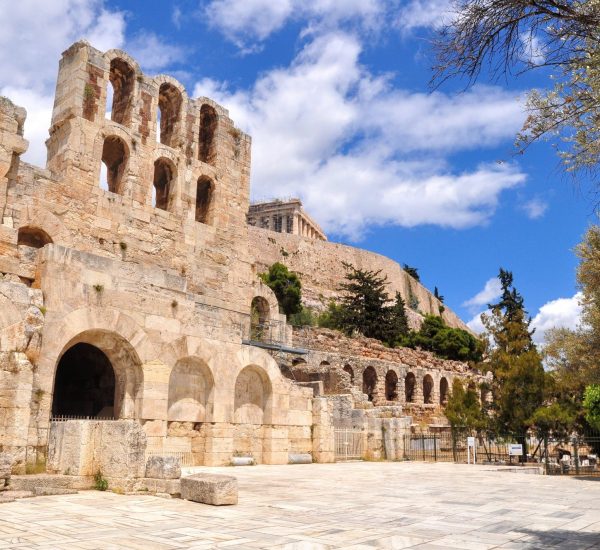 81954348-e1cf-460d-a0dd-bb27ae1a6995